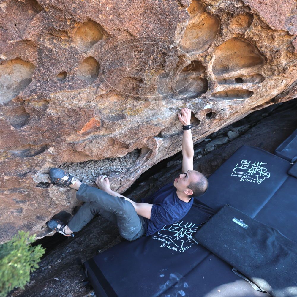 

Filename: SRM_20231123_1030220.jpg
Aperture: f/5.6
Shutter Speed: 1/400
Body: Canon EOS R6
Lens: Canon EF 16-35mm f/2.8 L