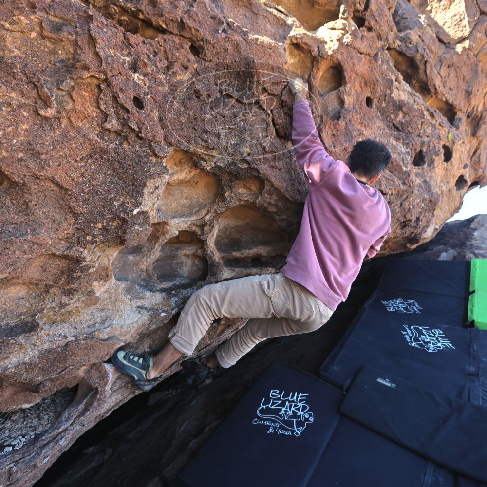 

Filename: SRM_20231123_1032150.jpg
Aperture: f/5.6
Shutter Speed: 1/400
Body: Canon EOS R6
Lens: Canon EF 16-35mm f/2.8 L