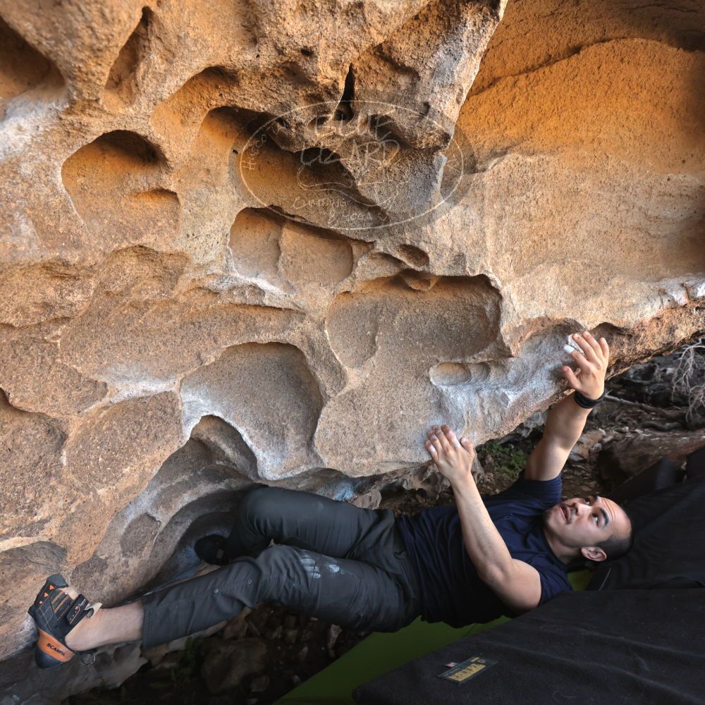 

Filename: SRM_20231123_1111470.jpg
Aperture: f/5.6
Shutter Speed: 1/400
Body: Canon EOS R6
Lens: Canon EF 16-35mm f/2.8 L