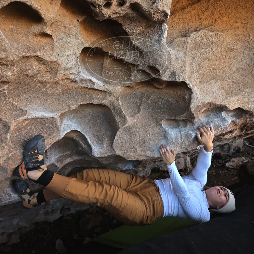 

Filename: SRM_20231123_1114210.jpg
Aperture: f/5.6
Shutter Speed: 1/100
Body: Canon EOS R6
Lens: Canon EF 16-35mm f/2.8 L