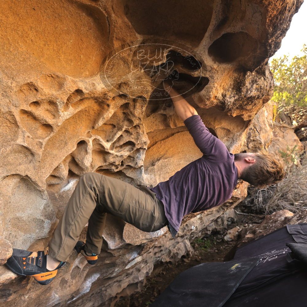 

Filename: SRM_20231123_1130180.jpg
Aperture: f/5.6
Shutter Speed: 1/320
Body: Canon EOS R6
Lens: Canon EF 16-35mm f/2.8 L