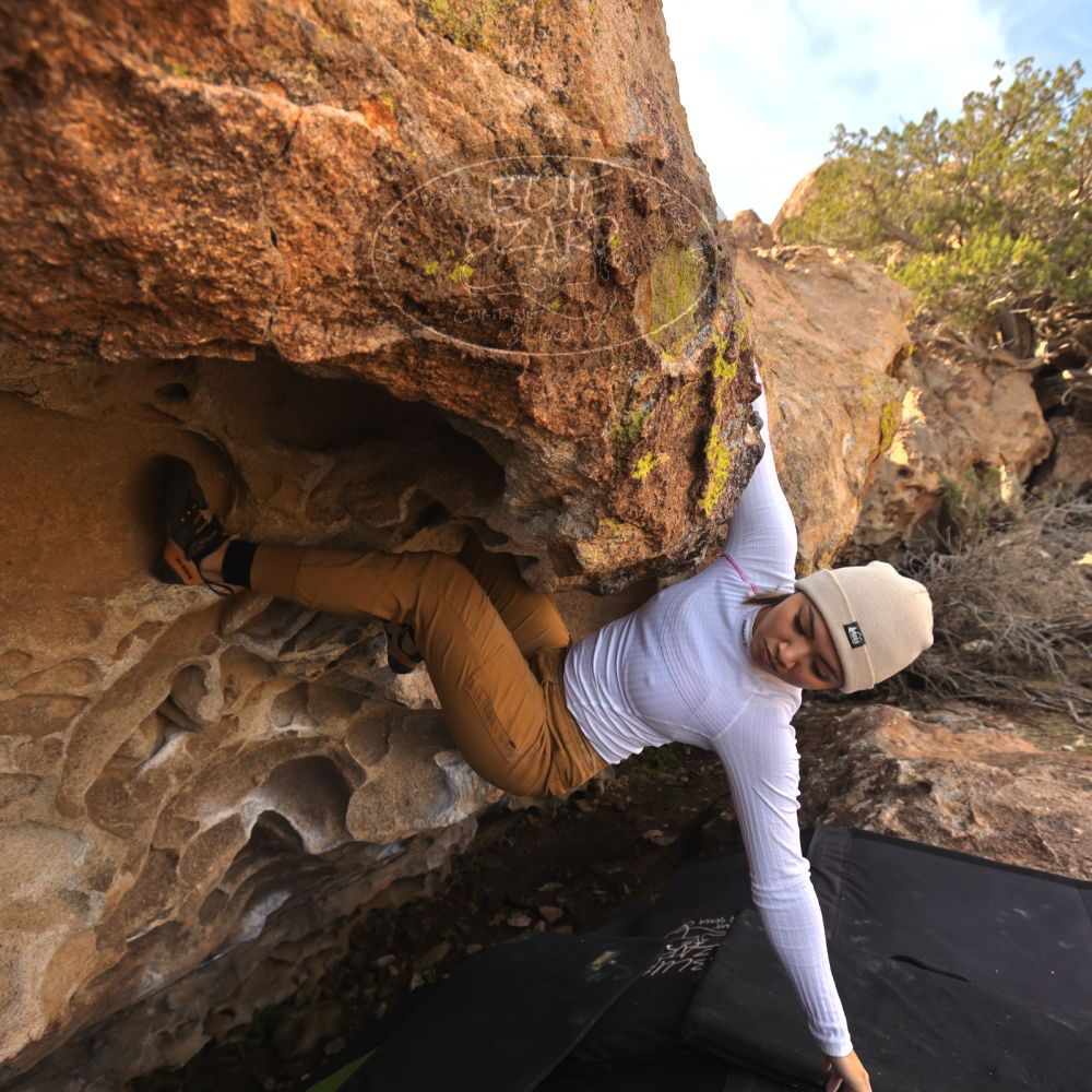 

Filename: SRM_20231123_1139070.jpg
Aperture: f/5.6
Shutter Speed: 1/320
Body: Canon EOS R6
Lens: Canon EF 16-35mm f/2.8 L