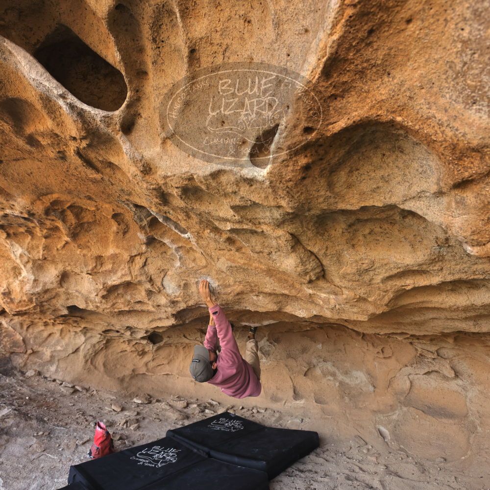 

Filename: SRM_20231123_1249220.jpg
Aperture: f/5.6
Shutter Speed: 1/320
Body: Canon EOS R6
Lens: Canon EF 16-35mm f/2.8 L