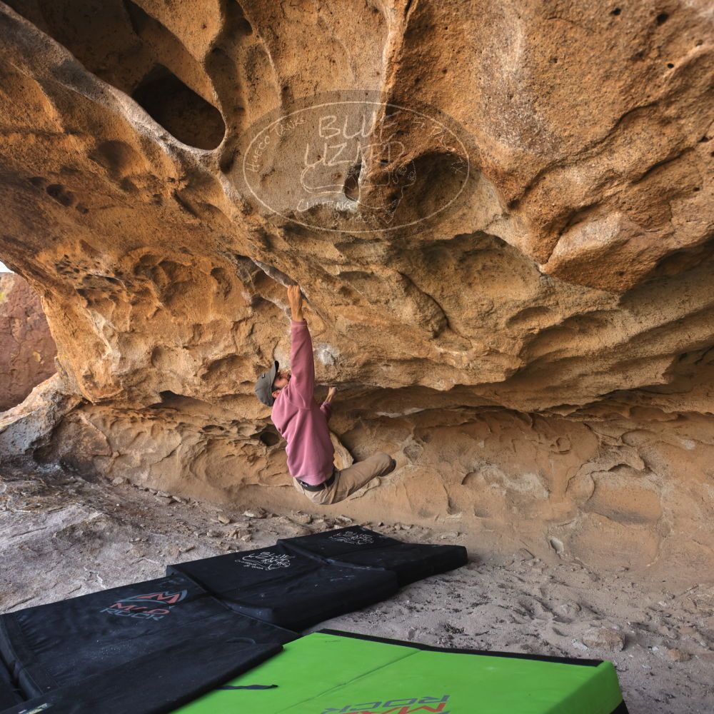 

Filename: SRM_20231123_1253391.jpg
Aperture: f/5.6
Shutter Speed: 1/400
Body: Canon EOS R6
Lens: Canon EF 16-35mm f/2.8 L