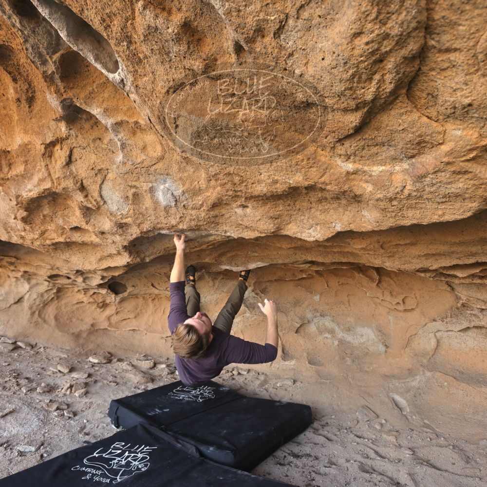 

Filename: SRM_20231123_1256020.jpg
Aperture: f/5.6
Shutter Speed: 1/400
Body: Canon EOS R6
Lens: Canon EF 16-35mm f/2.8 L