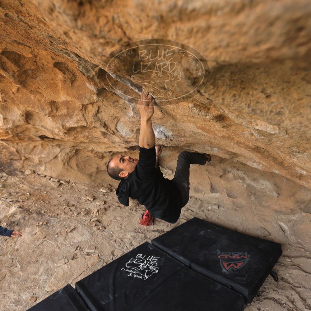 

Filename: SRM_20231123_1327462.jpg
Aperture: f/5.6
Shutter Speed: 1/200
Body: Canon EOS R6
Lens: Canon EF 16-35mm f/2.8 L