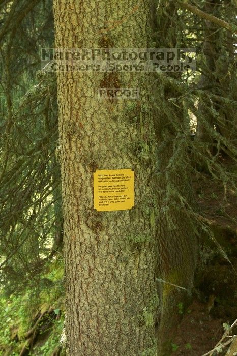 Hike from Murren, through Gimmelen, towards Schiltalp, then through Gimmelwald and back to Murren.

Filename: SRM_20080603_1046351.jpg
Aperture: f/8.0
Shutter Speed: 1/40
Body: Canon EOS-1D Mark II
Lens: Canon EF 16-35mm f/2.8 L