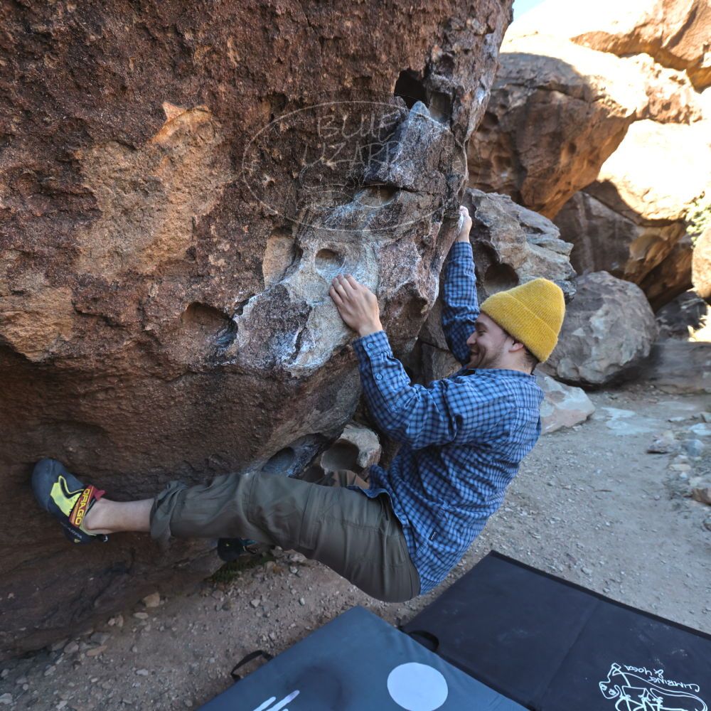 

Filename: SRM_20231124_0912120.jpg
Aperture: f/5.6
Shutter Speed: 1/500
Body: Canon EOS R6
Lens: Canon EF 16-35mm f/2.8 L