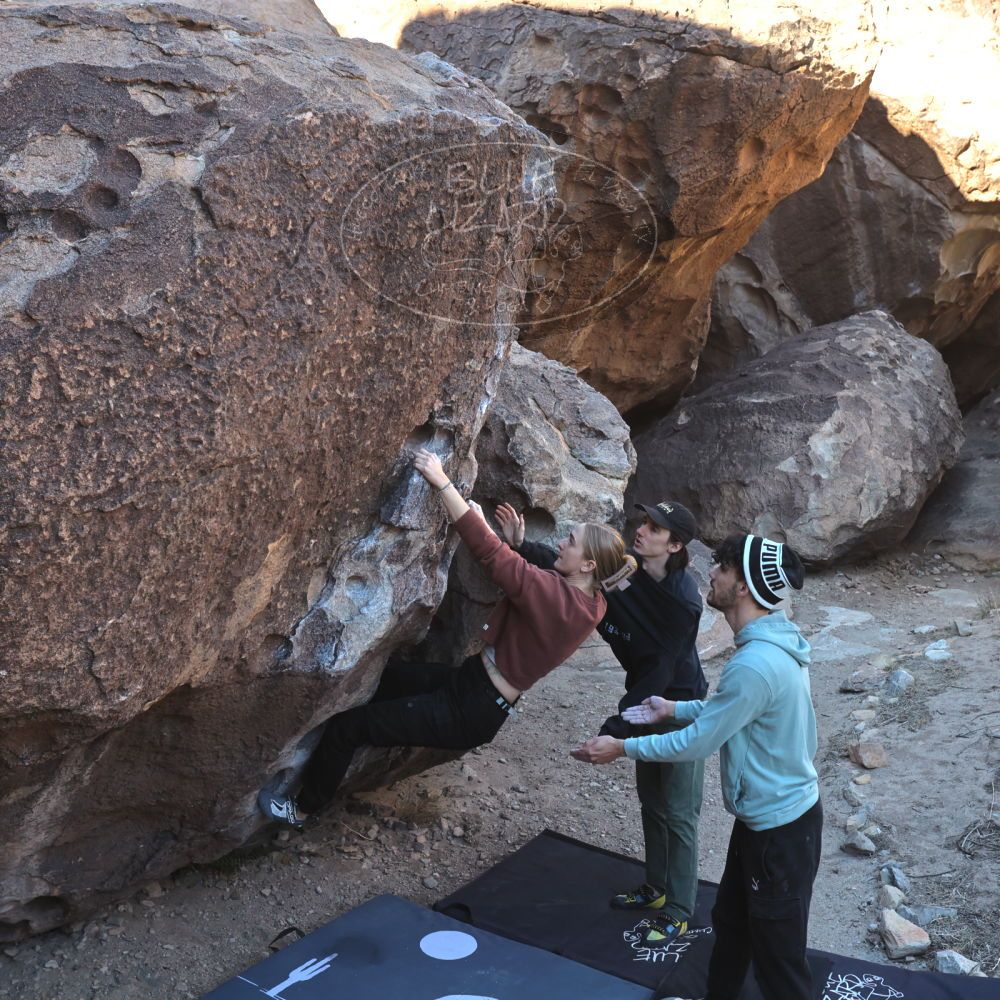 

Filename: SRM_20231124_0932270.jpg
Aperture: f/5.6
Shutter Speed: 1/500
Body: Canon EOS R6
Lens: Canon EF 16-35mm f/2.8 L