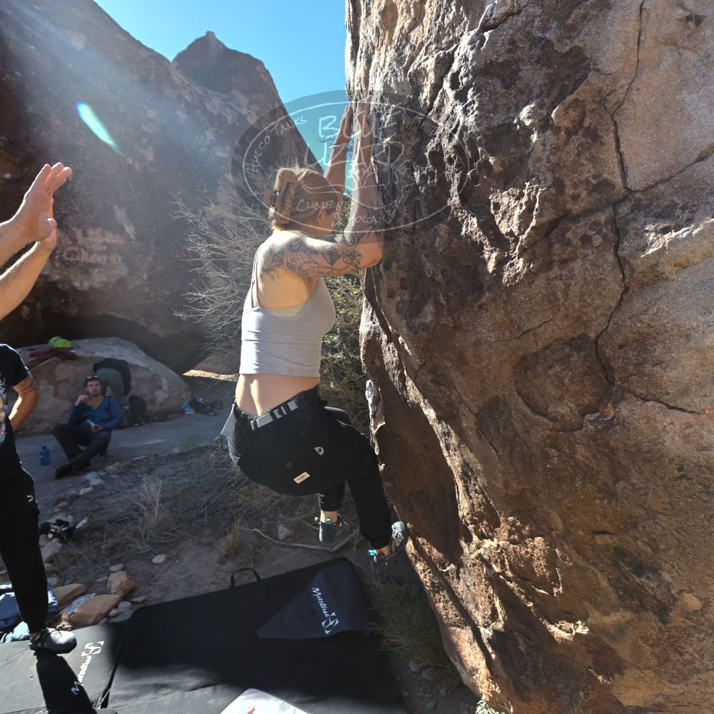 

Filename: SRM_20231124_1011060.jpg
Aperture: f/5.6
Shutter Speed: 1/1600
Body: Canon EOS R6
Lens: Canon EF 16-35mm f/2.8 L