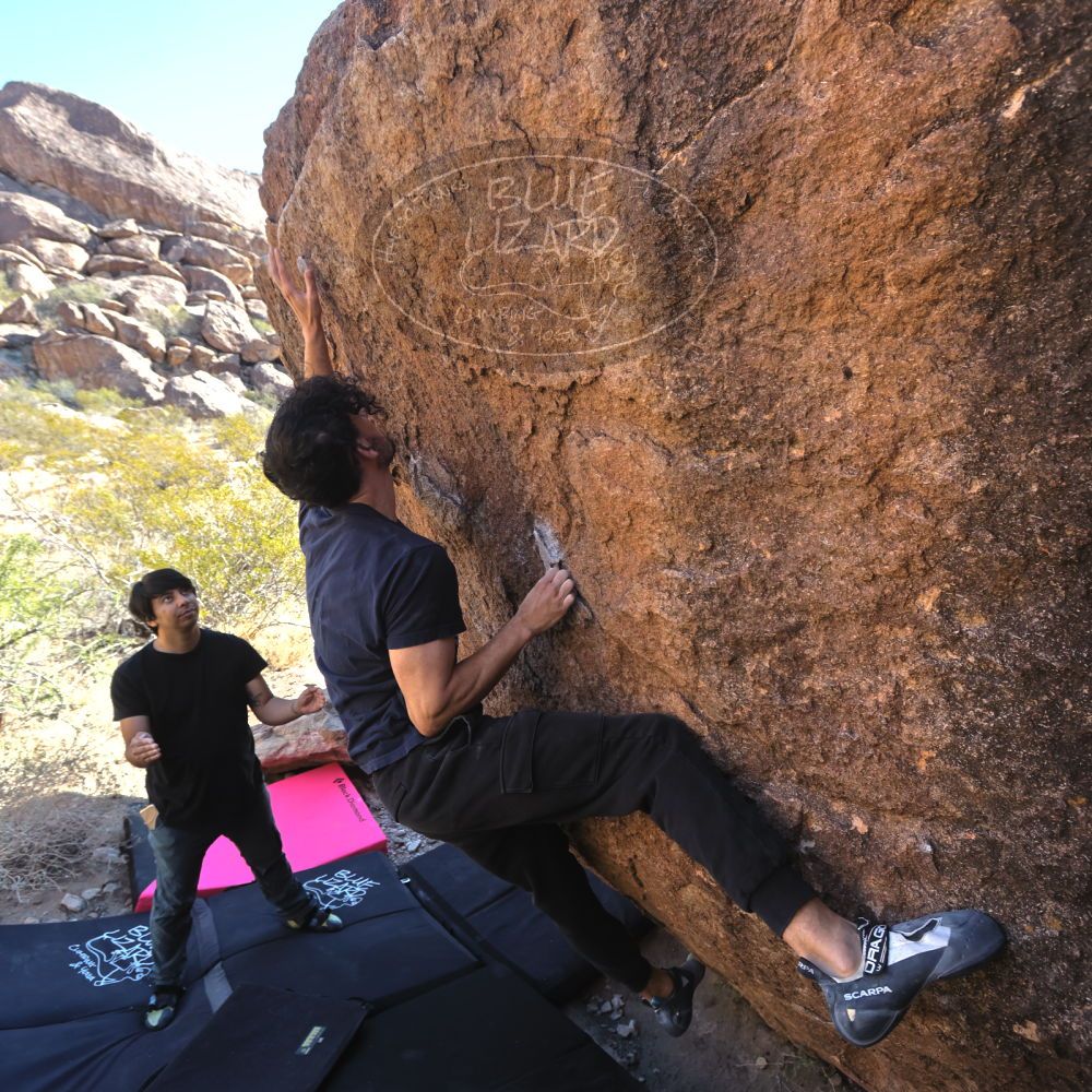 

Filename: SRM_20231124_1040030.jpg
Aperture: f/5.6
Shutter Speed: 1/320
Body: Canon EOS R6
Lens: Canon EF 16-35mm f/2.8 L