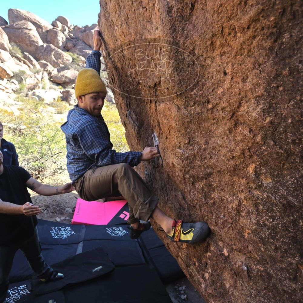 

Filename: SRM_20231124_1046490.jpg
Aperture: f/5.6
Shutter Speed: 1/320
Body: Canon EOS R6
Lens: Canon EF 16-35mm f/2.8 L