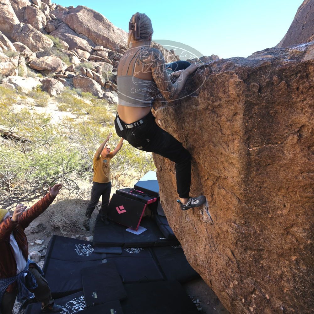 

Filename: SRM_20231124_1106190.jpg
Aperture: f/5.6
Shutter Speed: 1/400
Body: Canon EOS R6
Lens: Canon EF 16-35mm f/2.8 L