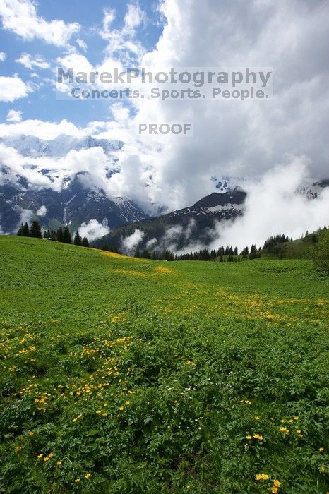 Hike from Murren, through Gimmelen, towards Schiltalp, then through Gimmelwald and back to Murren.

Filename: SRM_20080603_1104345.jpg
Aperture: f/8.0
Shutter Speed: 1/400
Body: Canon EOS-1D Mark II
Lens: Canon EF 16-35mm f/2.8 L