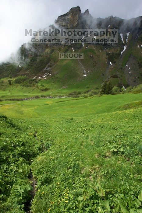 Hike from Murren, through Gimmelen, towards Schiltalp, then through Gimmelwald and back to Murren.
Filename: SRM_20080603_1107006.jpg
Aperture: f/8.0
Shutter Speed: 1/250
Body: Canon EOS-1D Mark II
Lens: Canon EF 16-35mm f/2.8 L