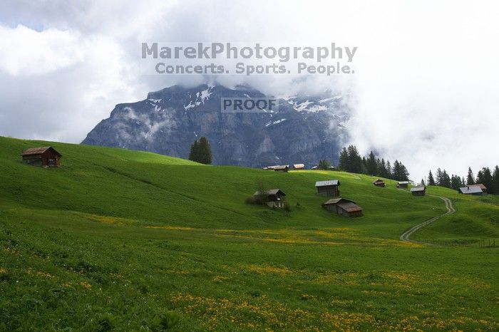 Hike from Murren, through Gimmelen, towards Schiltalp, then through Gimmelwald and back to Murren.

Filename: SRM_20080603_1121489.jpg
Aperture: f/8.0
Shutter Speed: 1/250
Body: Canon EOS-1D Mark II
Lens: Canon EF 16-35mm f/2.8 L