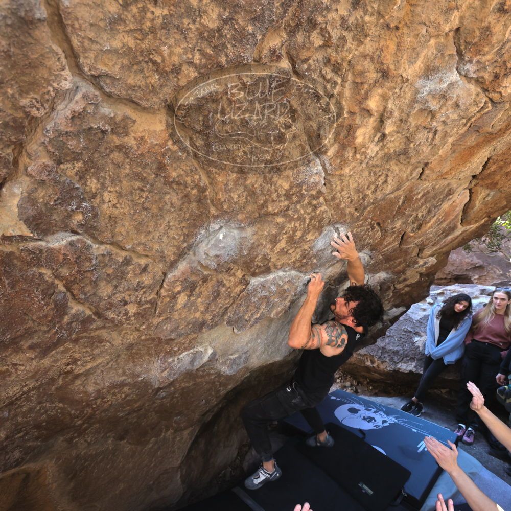 

Filename: SRM_20231124_1157370.jpg
Aperture: f/5.6
Shutter Speed: 1/400
Body: Canon EOS R6
Lens: Canon EF 16-35mm f/2.8 L