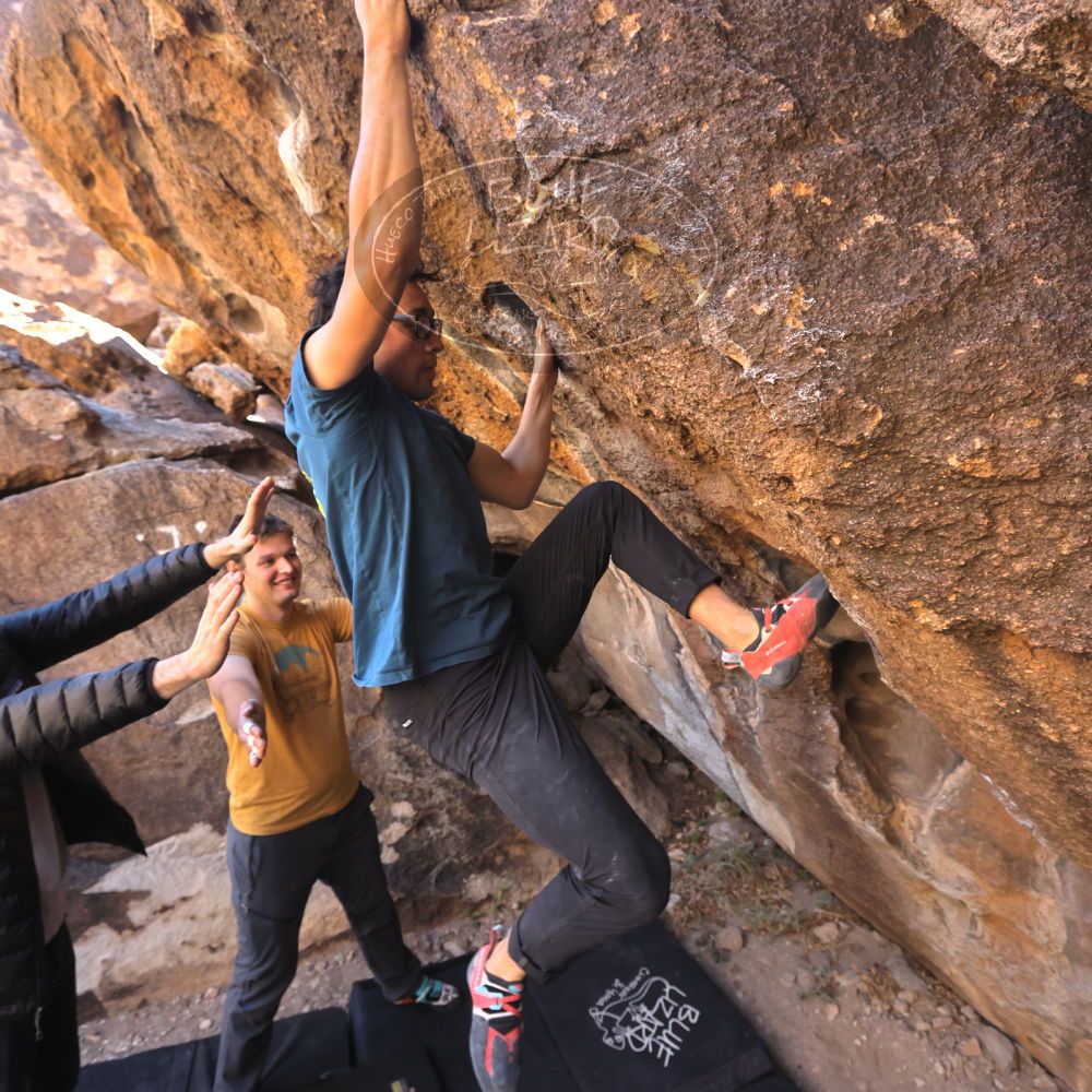 

Filename: SRM_20231124_1225252.jpg
Aperture: f/5.6
Shutter Speed: 1/320
Body: Canon EOS R6
Lens: Canon EF 16-35mm f/2.8 L