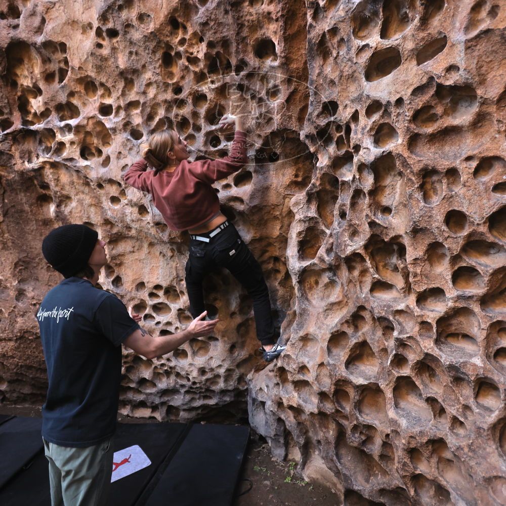 

Filename: SRM_20231124_1325120.jpg
Aperture: f/4.0
Shutter Speed: 1/200
Body: Canon EOS R6
Lens: Canon EF 16-35mm f/2.8 L