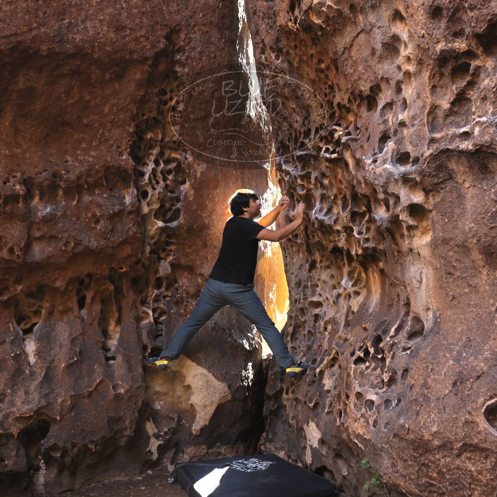 

Filename: SRM_20231124_1325210.jpg
Aperture: f/4.0
Shutter Speed: 1/200
Body: Canon EOS R6
Lens: Canon EF 16-35mm f/2.8 L