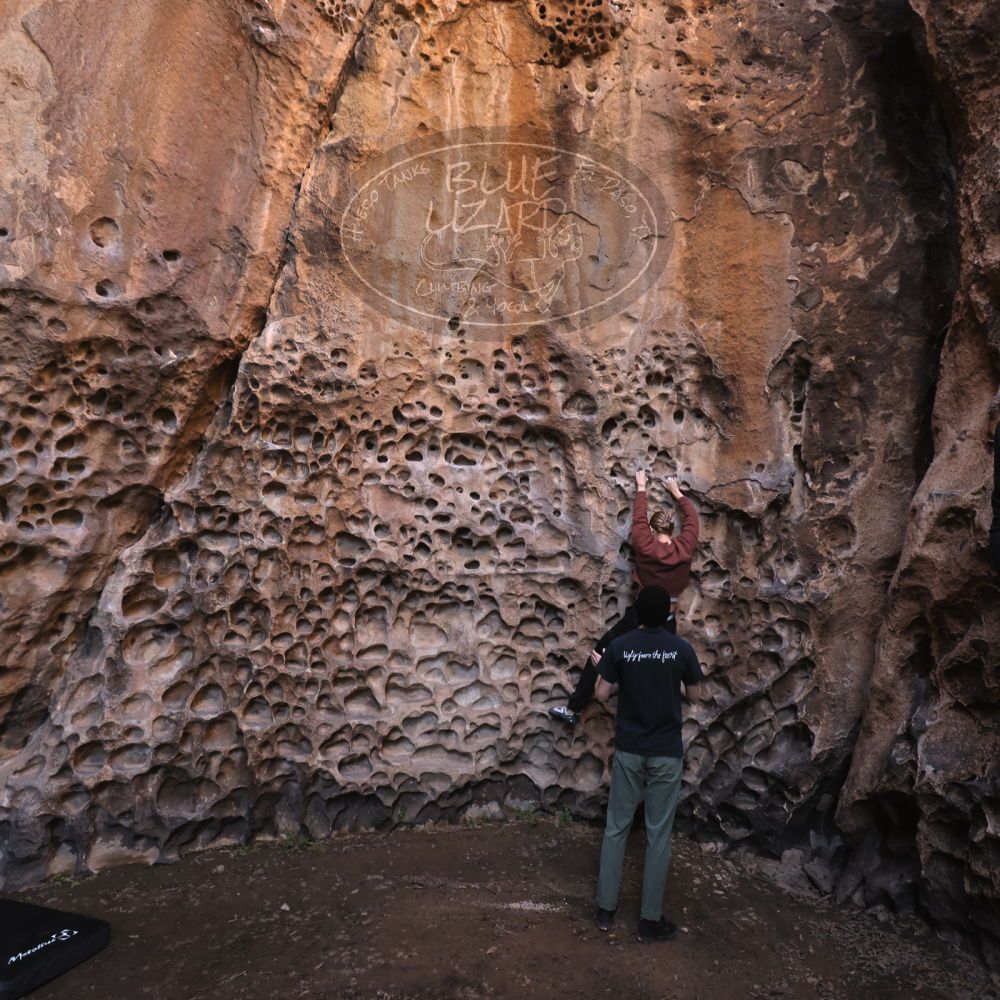 

Filename: SRM_20231124_1326050.jpg
Aperture: f/4.0
Shutter Speed: 1/200
Body: Canon EOS R6
Lens: Canon EF 16-35mm f/2.8 L