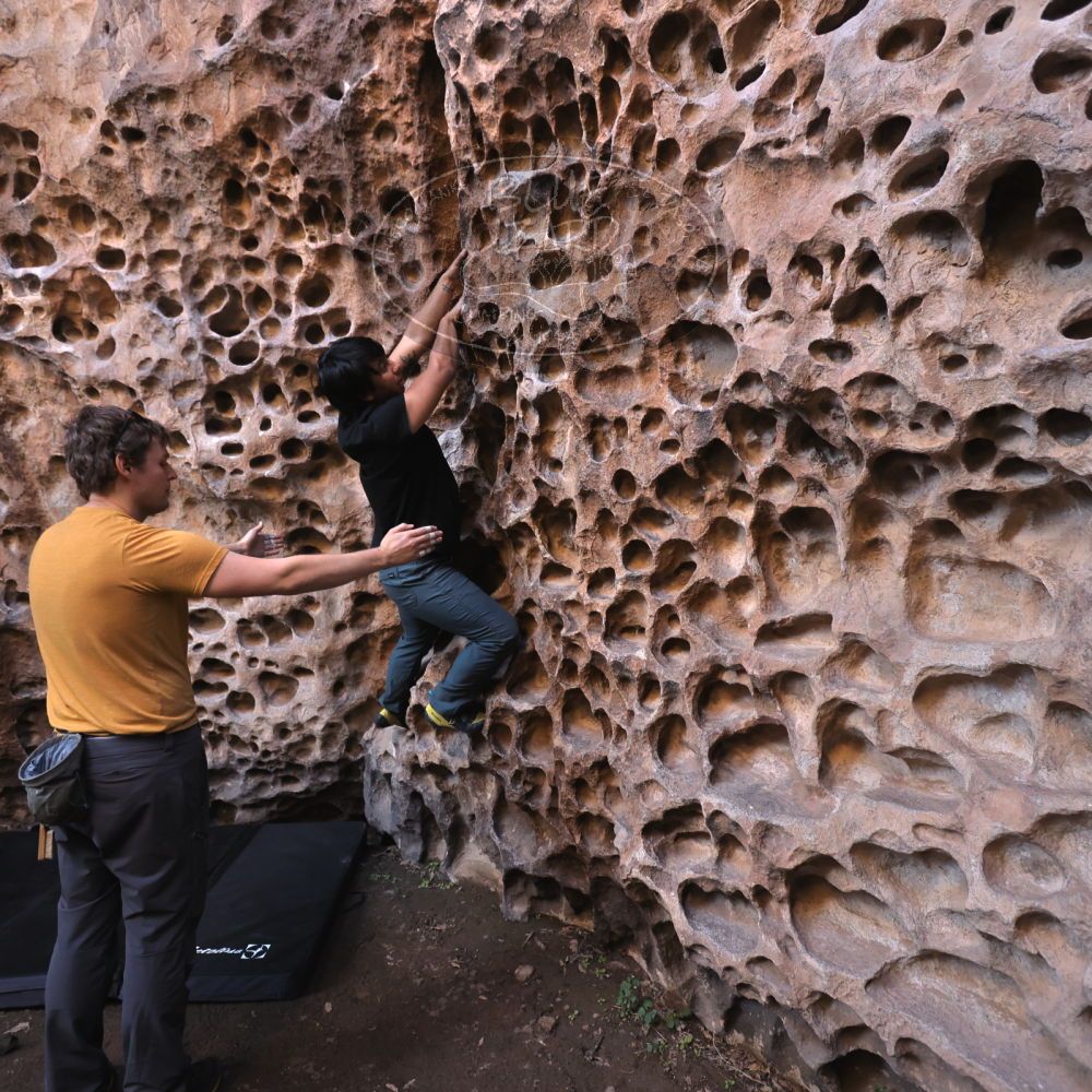 

Filename: SRM_20231124_1326590.jpg
Aperture: f/4.0
Shutter Speed: 1/200
Body: Canon EOS R6
Lens: Canon EF 16-35mm f/2.8 L