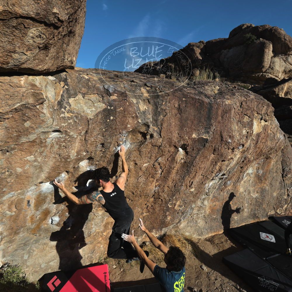 

Filename: SRM_20231124_1530400.jpg
Aperture: f/8.0
Shutter Speed: 1/640
Body: Canon EOS R6
Lens: Canon EF 16-35mm f/2.8 L