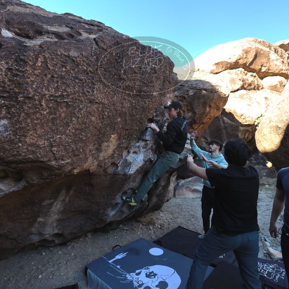 

Filename: SRM_20231124_0919110.jpg
Aperture: f/5.6
Shutter Speed: 1/640
Body: Canon EOS R6
Lens: Canon EF 16-35mm f/2.8 L