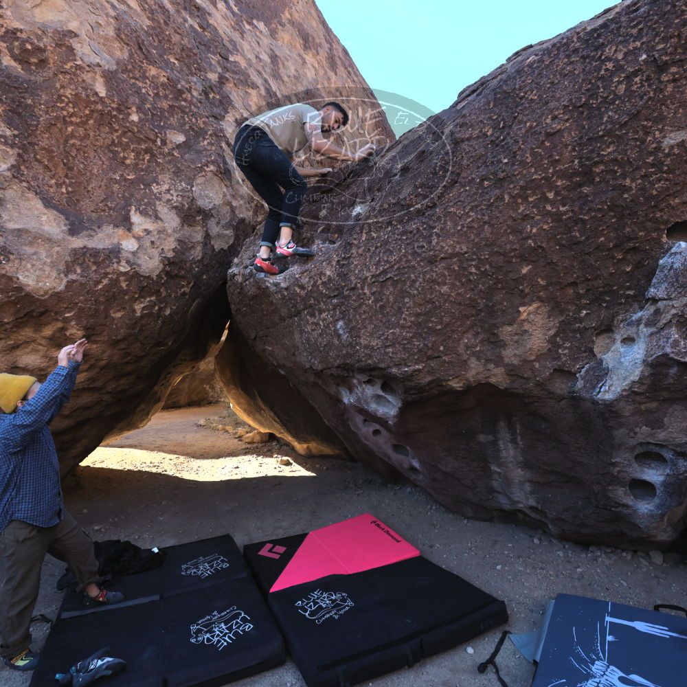 

Filename: SRM_20231124_0921200.jpg
Aperture: f/5.6
Shutter Speed: 1/1250
Body: Canon EOS R6
Lens: Canon EF 16-35mm f/2.8 L