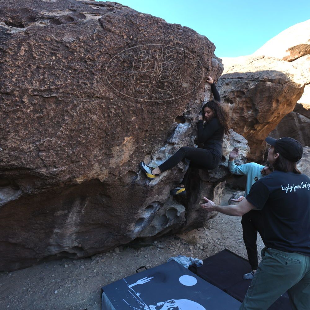 

Filename: SRM_20231124_0923100.jpg
Aperture: f/5.6
Shutter Speed: 1/500
Body: Canon EOS R6
Lens: Canon EF 16-35mm f/2.8 L