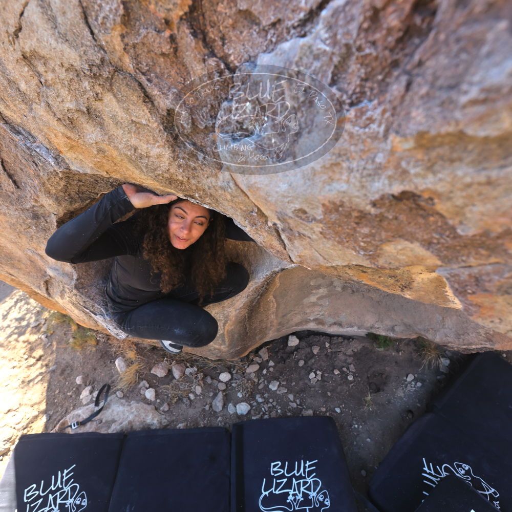 

Filename: SRM_20231124_1122560.jpg
Aperture: f/5.6
Shutter Speed: 1/400
Body: Canon EOS R6
Lens: Canon EF 16-35mm f/2.8 L