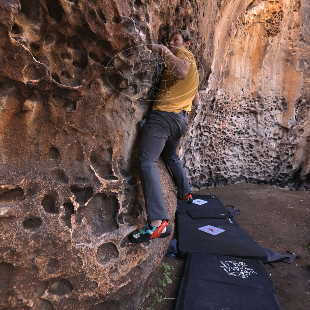 

Filename: SRM_20231124_1339010.jpg
Aperture: f/4.0
Shutter Speed: 1/200
Body: Canon EOS R6
Lens: Canon EF 16-35mm f/2.8 L