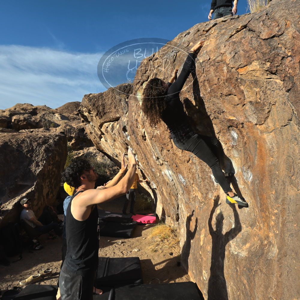 

Filename: SRM_20231124_1537260.jpg
Aperture: f/8.0
Shutter Speed: 1/640
Body: Canon EOS R6
Lens: Canon EF 16-35mm f/2.8 L