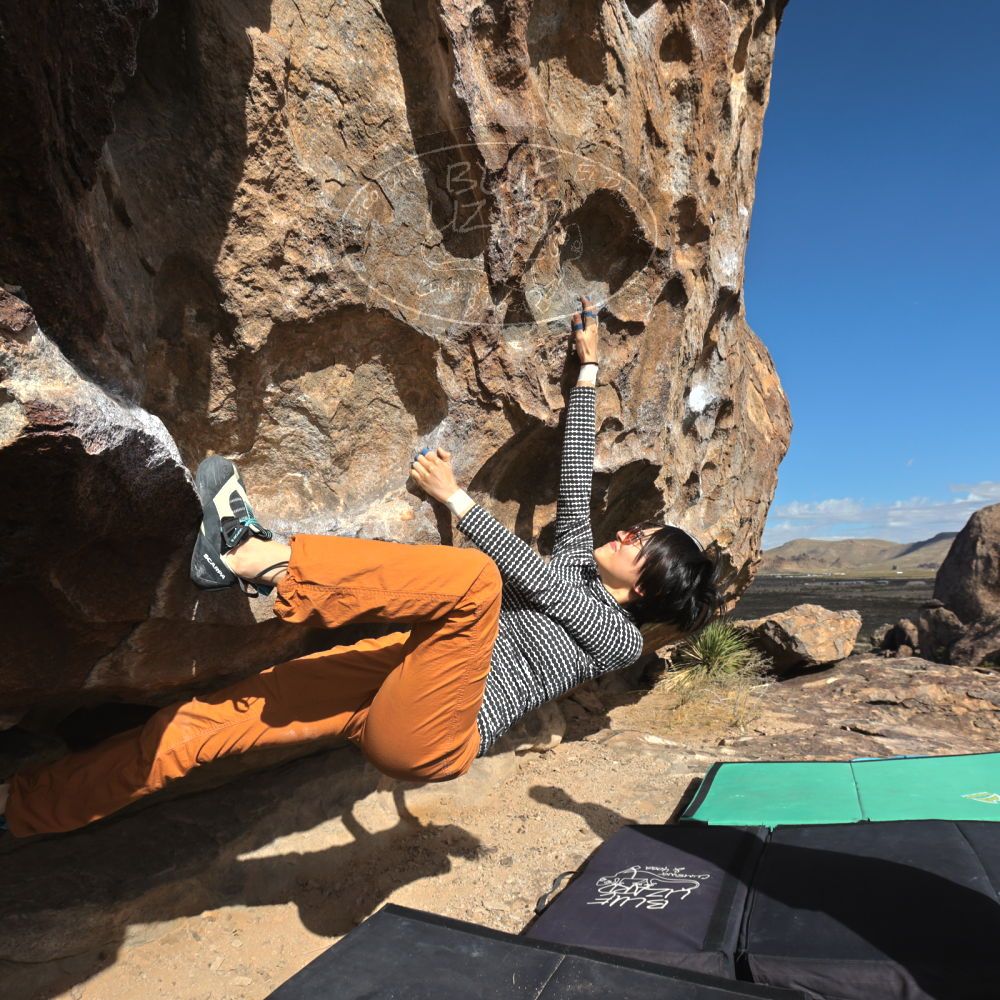 

Filename: SRM_20231125_1100320.jpg
Aperture: f/8.0
Shutter Speed: 1/1250
Body: Canon EOS R6
Lens: Canon EF 16-35mm f/2.8 L