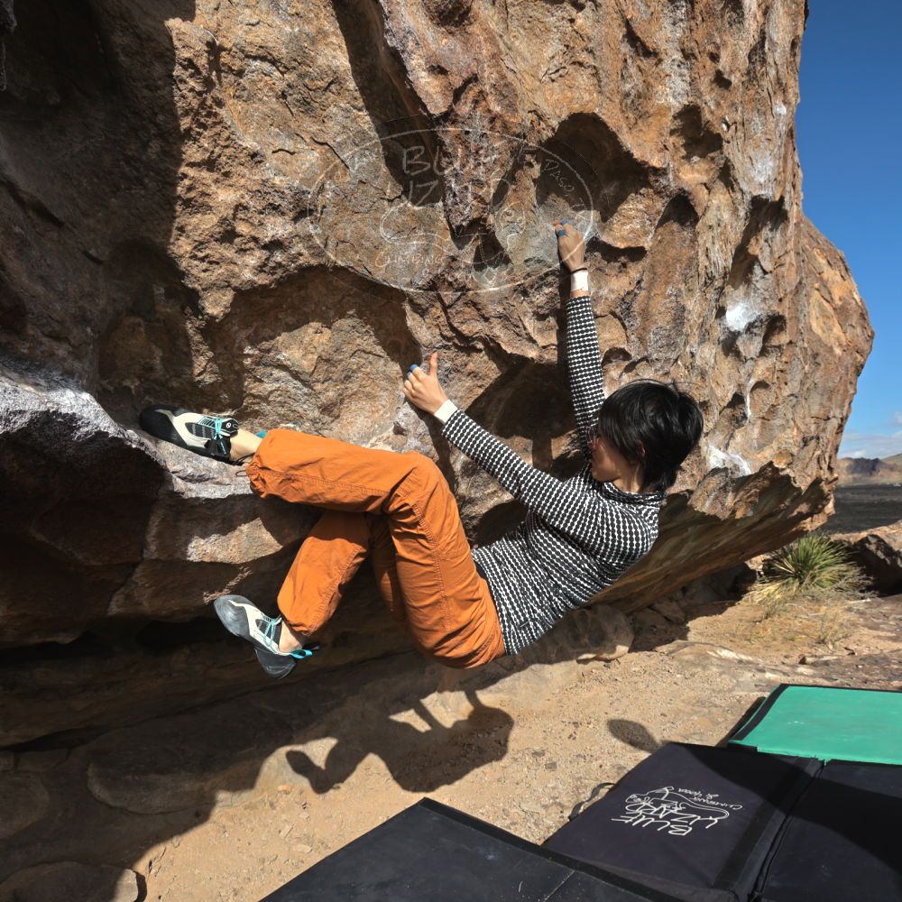 

Filename: SRM_20231125_1100400.jpg
Aperture: f/8.0
Shutter Speed: 1/1250
Body: Canon EOS R6
Lens: Canon EF 16-35mm f/2.8 L