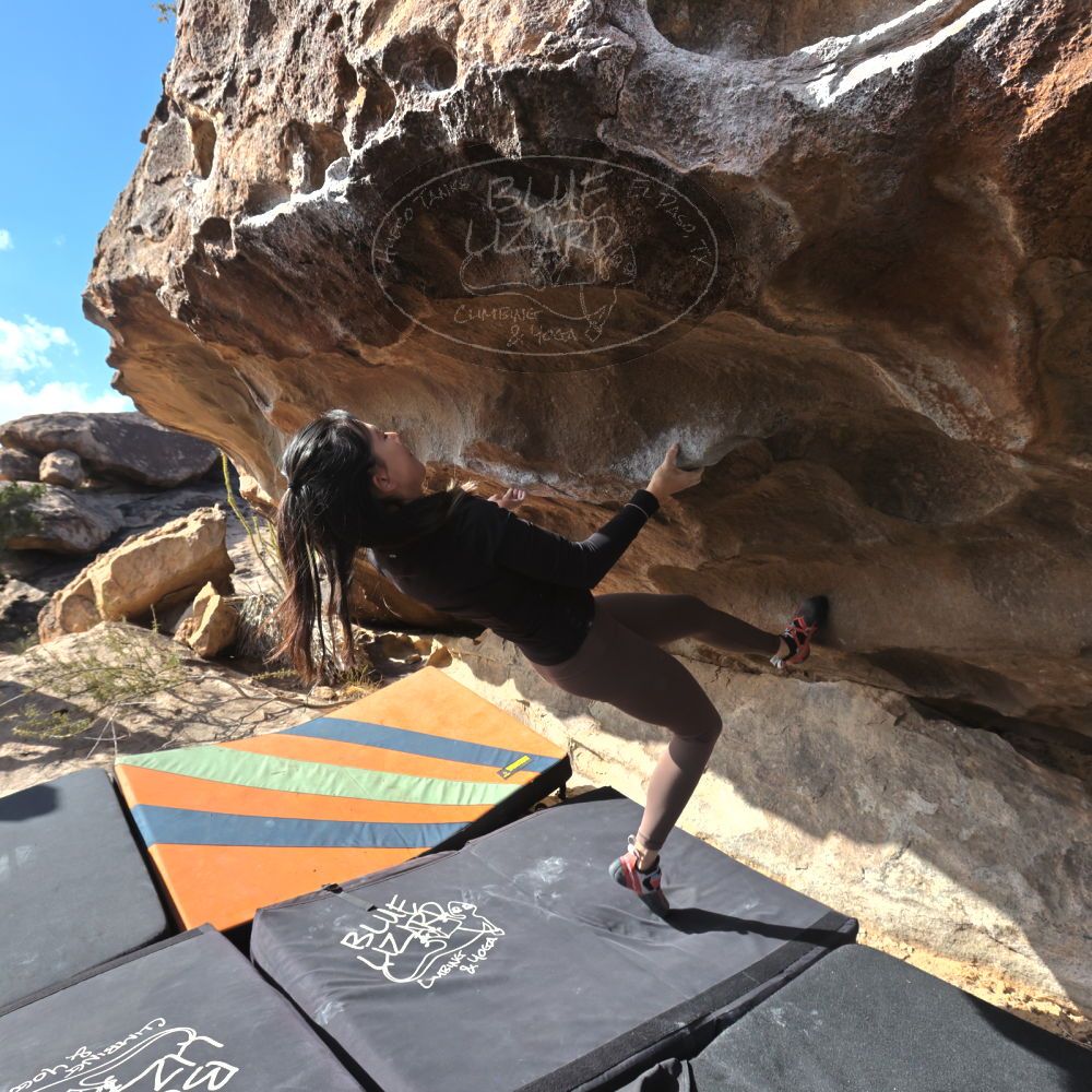 

Filename: SRM_20231125_1102010.jpg
Aperture: f/8.0
Shutter Speed: 1/1250
Body: Canon EOS R6
Lens: Canon EF 16-35mm f/2.8 L