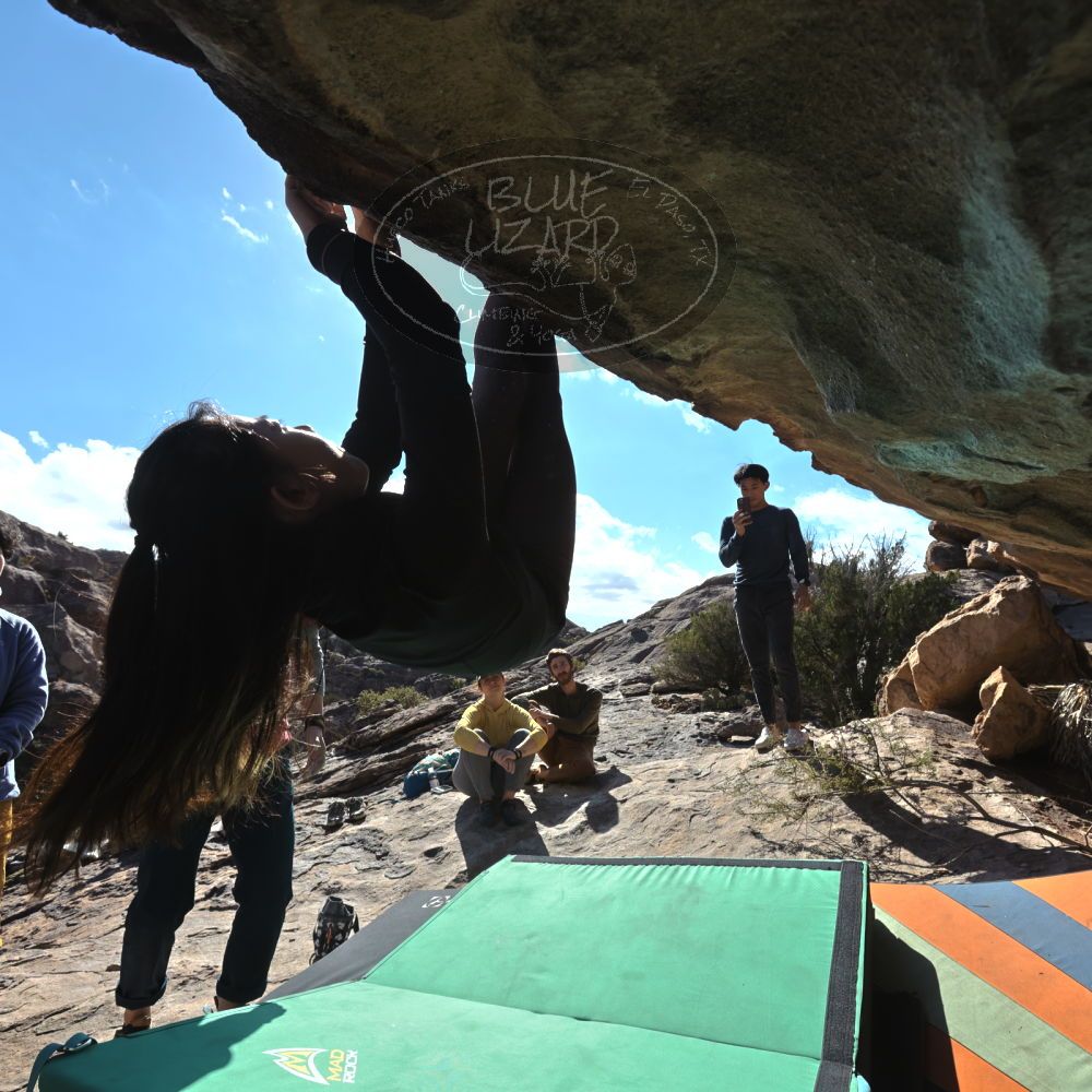 

Filename: SRM_20231125_1120470.jpg
Aperture: f/8.0
Shutter Speed: 1/1250
Body: Canon EOS R6
Lens: Canon EF 16-35mm f/2.8 L