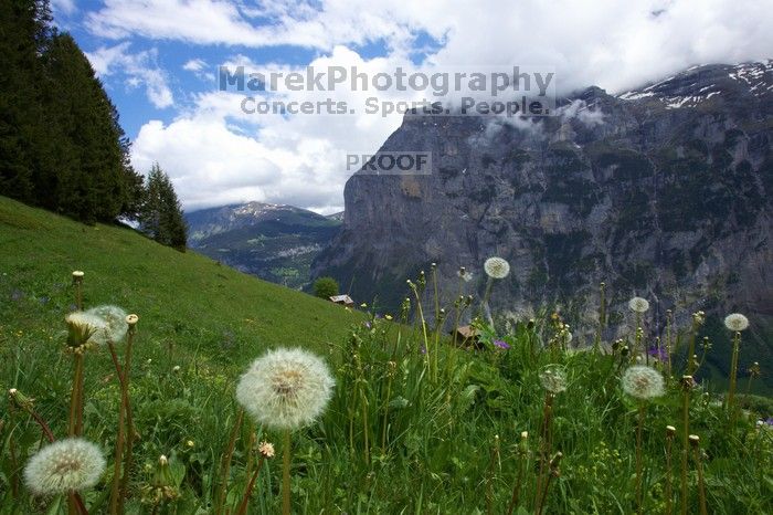 Hike from Murren, through Gimmelen, towards Schiltalp, then through Gimmelwald and back to Murren.
Filename: SRM_20080603_1257541.jpg
Aperture: f/22.0
Shutter Speed: 1/100
Body: Canon EOS-1D Mark II
Lens: Canon EF 16-35mm f/2.8 L