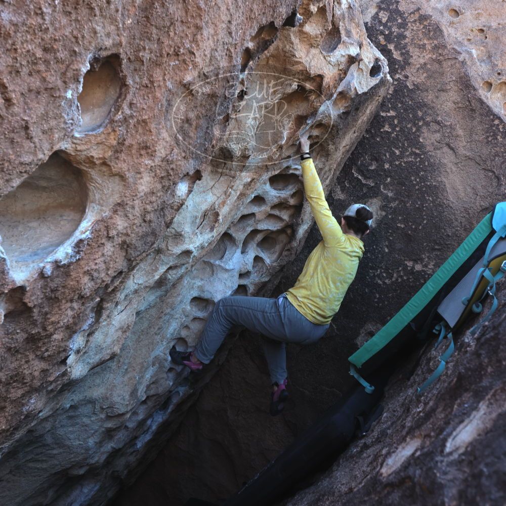 

Filename: SRM_20231125_1209280.jpg
Aperture: f/5.6
Shutter Speed: 1/320
Body: Canon EOS R6
Lens: Canon EF 16-35mm f/2.8 L