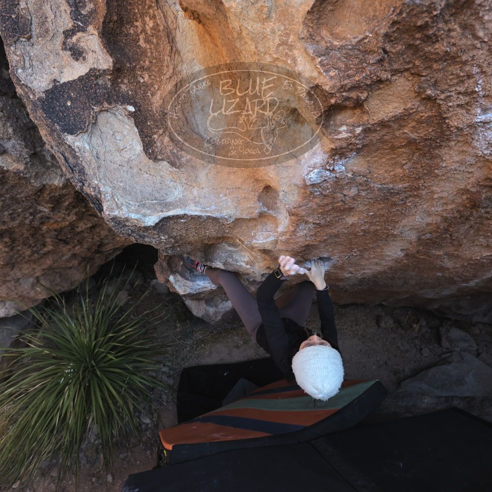 

Filename: SRM_20231125_1212560.jpg
Aperture: f/5.6
Shutter Speed: 1/320
Body: Canon EOS R6
Lens: Canon EF 16-35mm f/2.8 L