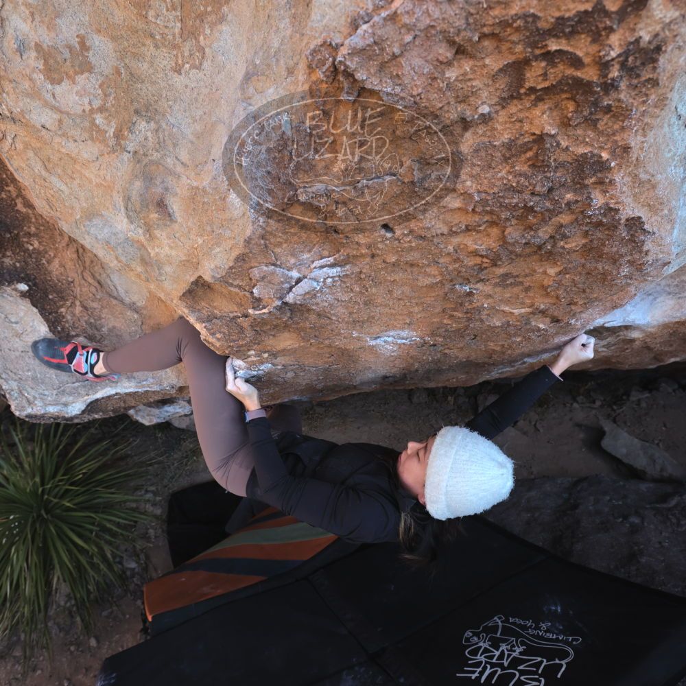 

Filename: SRM_20231125_1213290.jpg
Aperture: f/5.6
Shutter Speed: 1/320
Body: Canon EOS R6
Lens: Canon EF 16-35mm f/2.8 L