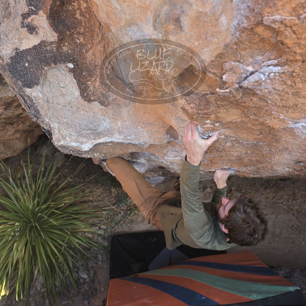 

Filename: SRM_20231125_1219380.jpg
Aperture: f/5.6
Shutter Speed: 1/80
Body: Canon EOS R6
Lens: Canon EF 16-35mm f/2.8 L