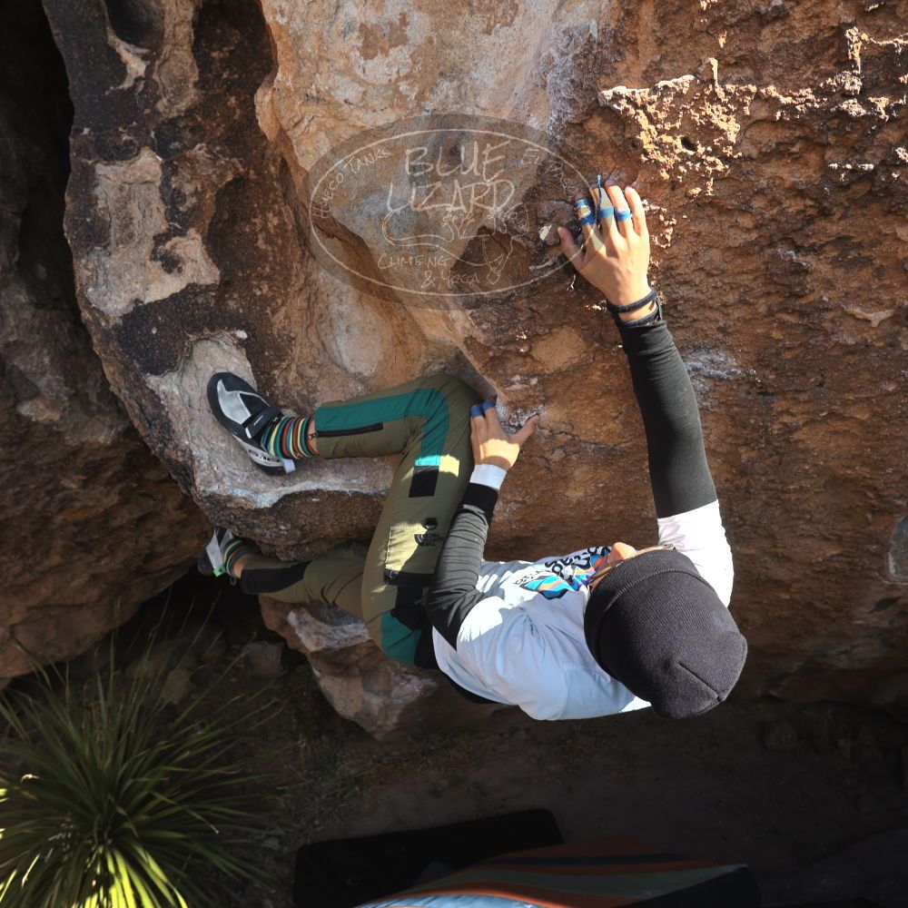 

Filename: SRM_20231125_1225430.jpg
Aperture: f/5.6
Shutter Speed: 1/400
Body: Canon EOS R6
Lens: Canon EF 16-35mm f/2.8 L