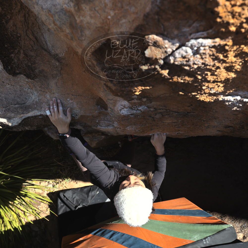 

Filename: SRM_20231125_1237380.jpg
Aperture: f/5.6
Shutter Speed: 1/640
Body: Canon EOS R6
Lens: Canon EF 16-35mm f/2.8 L