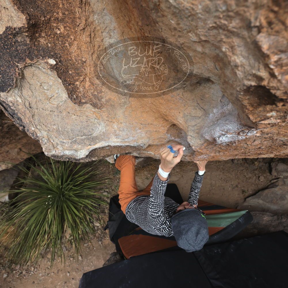 

Filename: SRM_20231125_1304450.jpg
Aperture: f/5.6
Shutter Speed: 1/1000
Body: Canon EOS R6
Lens: Canon EF 16-35mm f/2.8 L