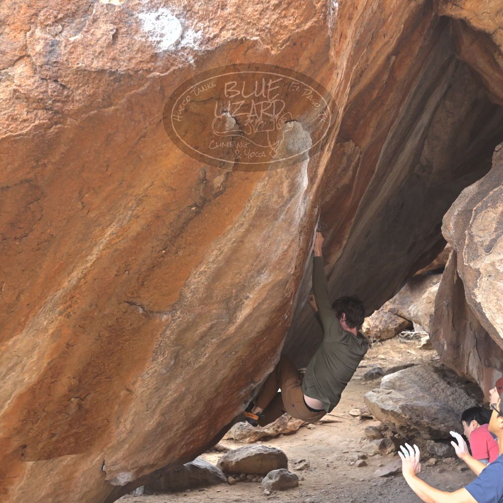 

Filename: SRM_20231125_1410380.jpg
Aperture: f/4.0
Shutter Speed: 1/320
Body: Canon EOS R6
Lens: Canon EF 16-35mm f/2.8 L