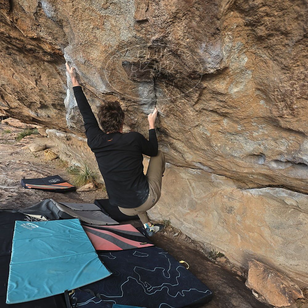 

Filename: SRM_20231125_1547591.jpg
Aperture: f/5.6
Shutter Speed: 1/800
Body: Canon EOS R6
Lens: Canon EF 16-35mm f/2.8 L