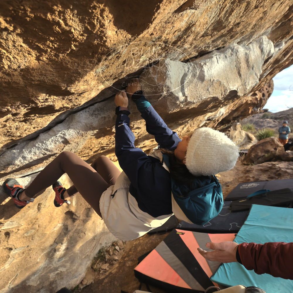 

Filename: SRM_20231125_1550430.jpg
Aperture: f/5.6
Shutter Speed: 1/800
Body: Canon EOS R6
Lens: Canon EF 16-35mm f/2.8 L