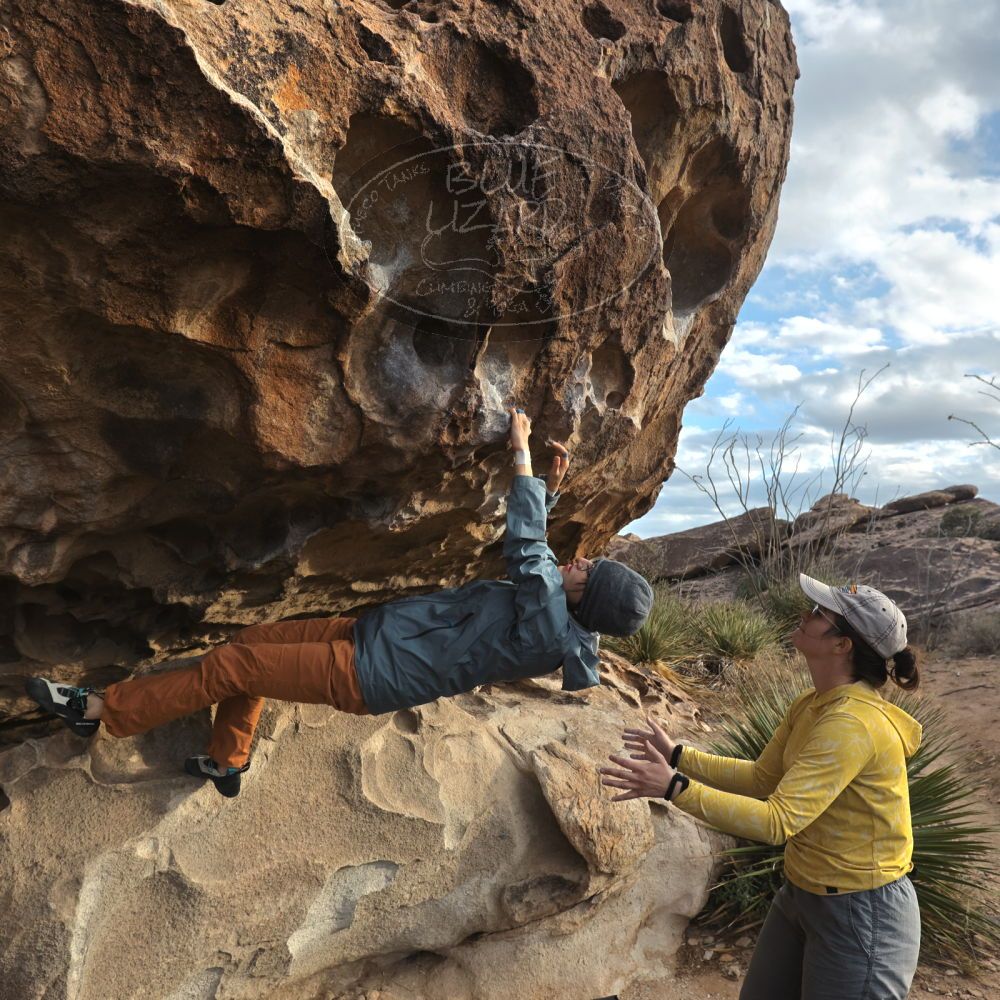 

Filename: SRM_20231125_1553390.jpg
Aperture: f/5.6
Shutter Speed: 1/640
Body: Canon EOS R6
Lens: Canon EF 16-35mm f/2.8 L