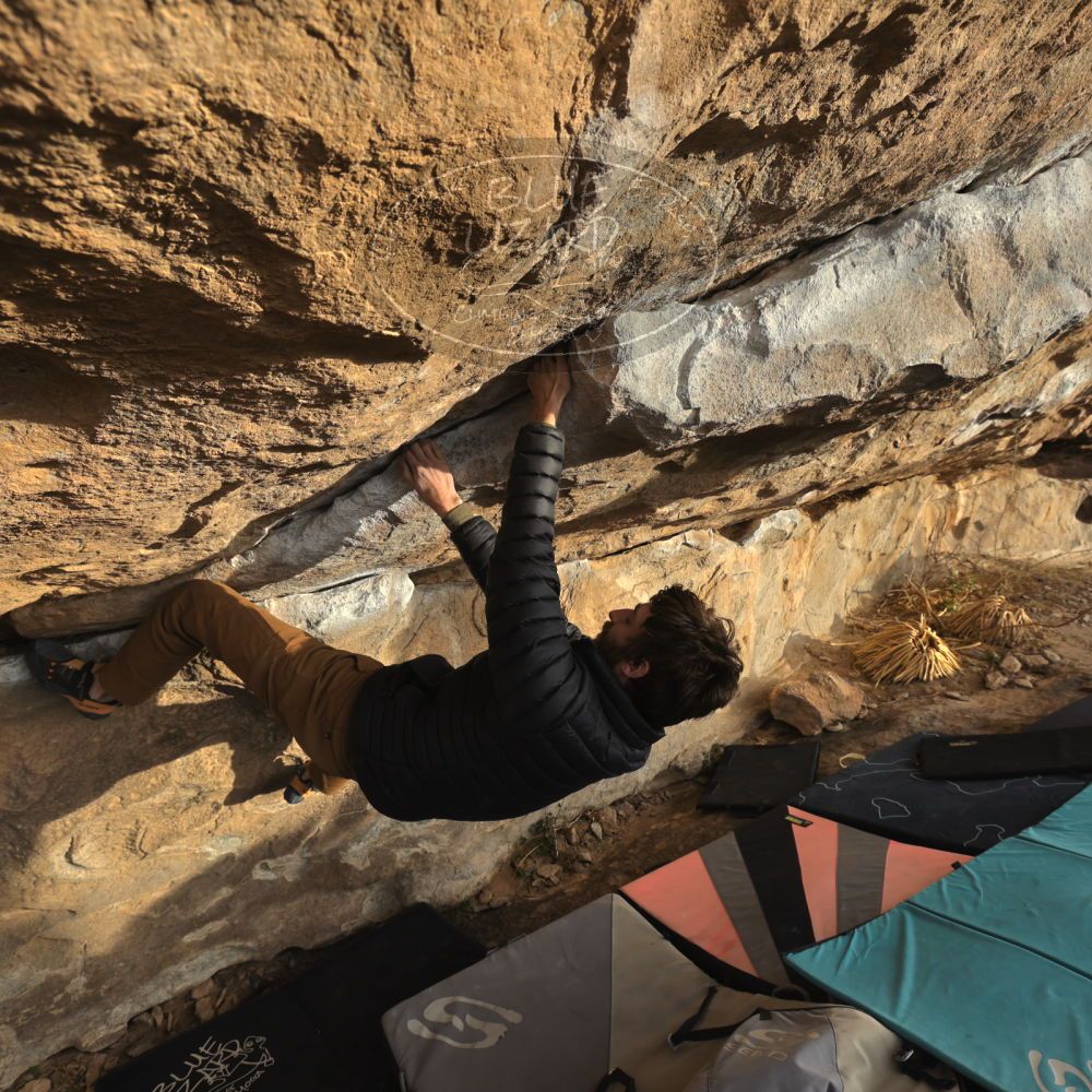 

Filename: SRM_20231125_1556150.jpg
Aperture: f/5.6
Shutter Speed: 1/640
Body: Canon EOS R6
Lens: Canon EF 16-35mm f/2.8 L